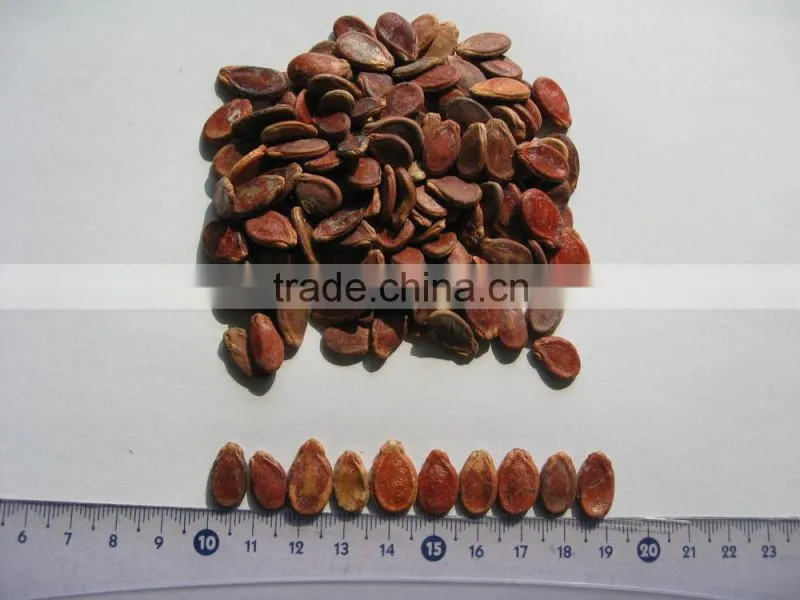wholesale delicious red watermelon seeds