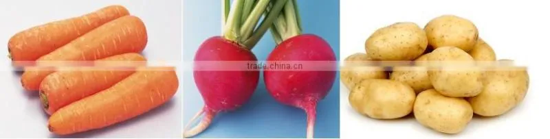 potato peeling machine /industrial potato washer