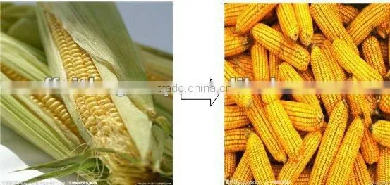 corn dehusker
