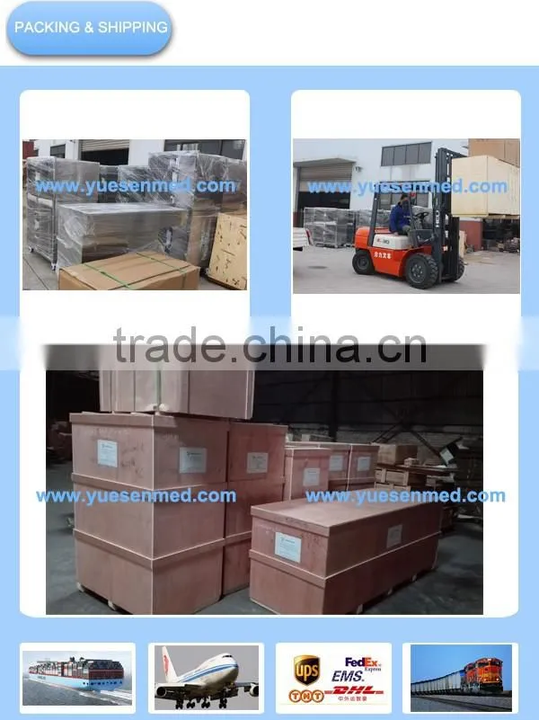 Size customizable high quality stainless steel veterinary clinic pet cages