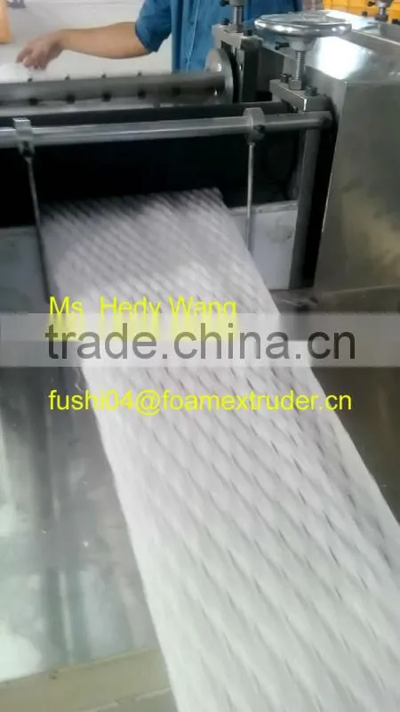 CE & ISO9001 Apple/Guava/Melon/Mango Foam Net Machine