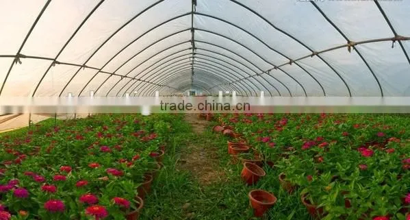 Nursery Greenhouse Plastic Film
