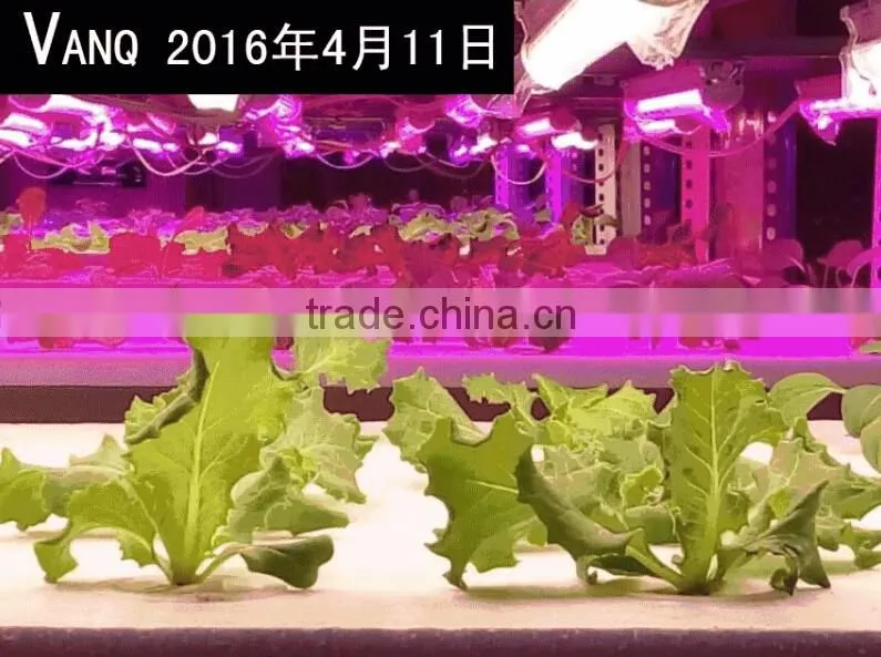 high umol led grow light tube led for lettuce hydroponic vertical farm 30w waterproof