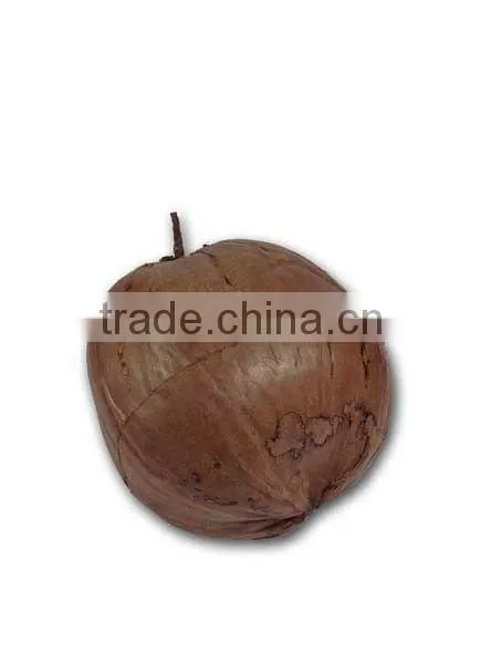 2012 new design Artificial coconut fruit