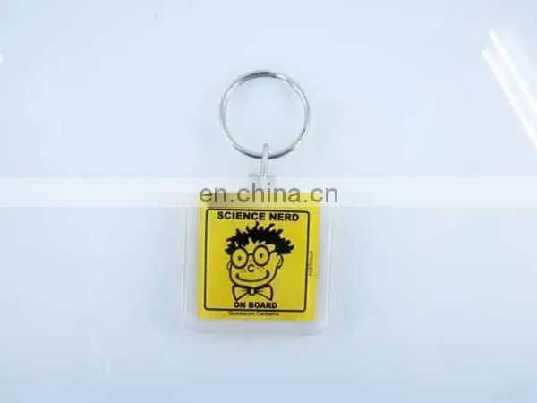 Oval shape custom card inserted Acrylic keychain