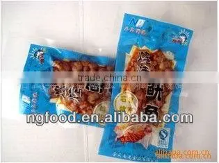 squid food