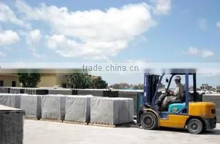 Viet Nam Investment And Technology Development Company Limited company overview - view 1