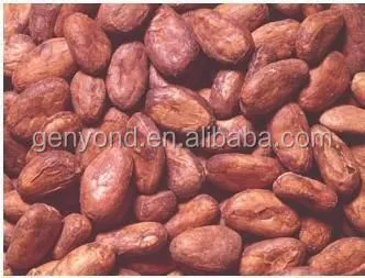 Complete Cocoa Bean Processing/roasting/peeling Plant