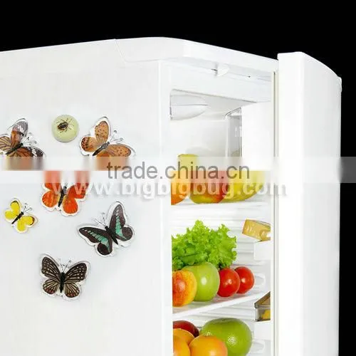 Crystal Real Butterfly Fridge Magnet, Hot sale 2013