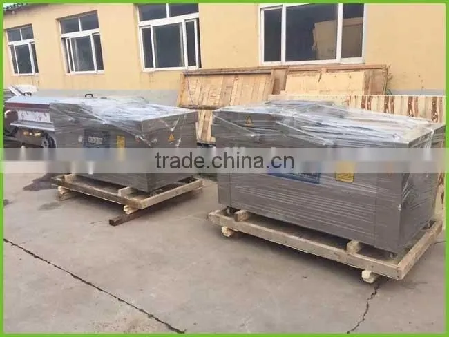 Double chamber vacuum packing machine for food