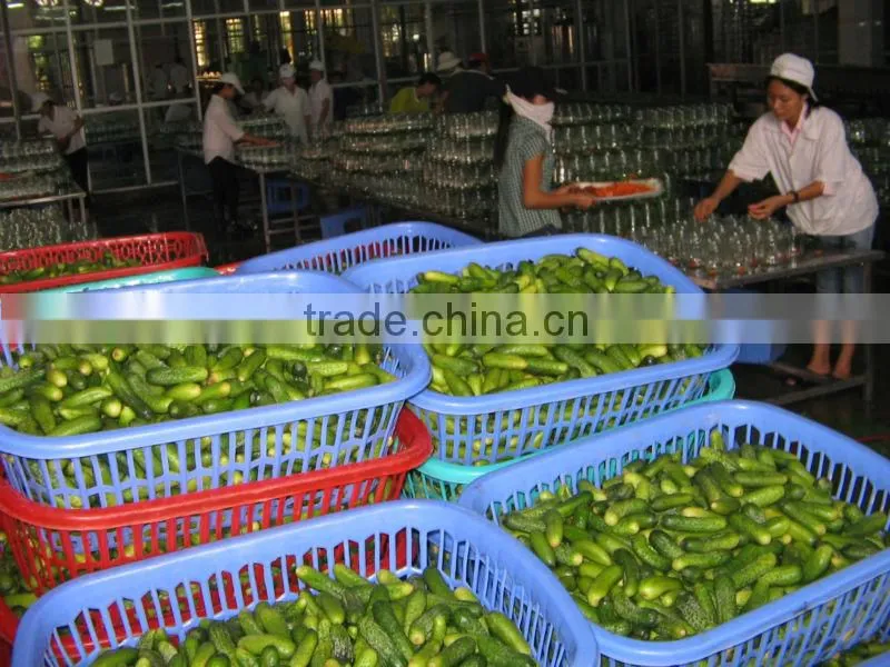Pickled Cucumber in 370ml, 540ml, 720ml, 1500ml glass jar