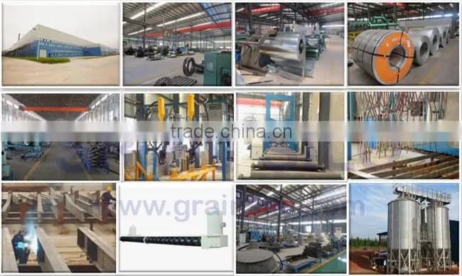 Hot Galvanized Steel Silo for Pellets with Screw Augers Discharging