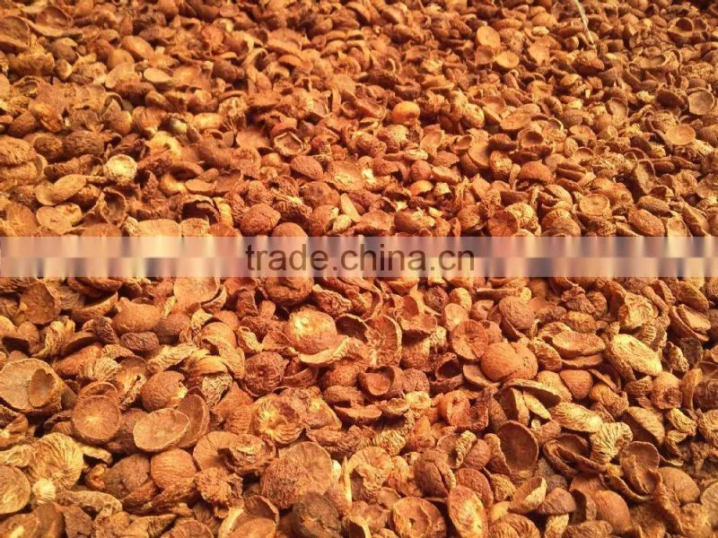 Dried Betel Nut (Areca nut )High Quality and Cheap Price From Vietnam
