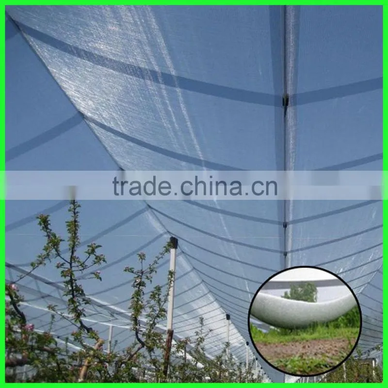 PE plastic UV treated guard hail net for grape plantation