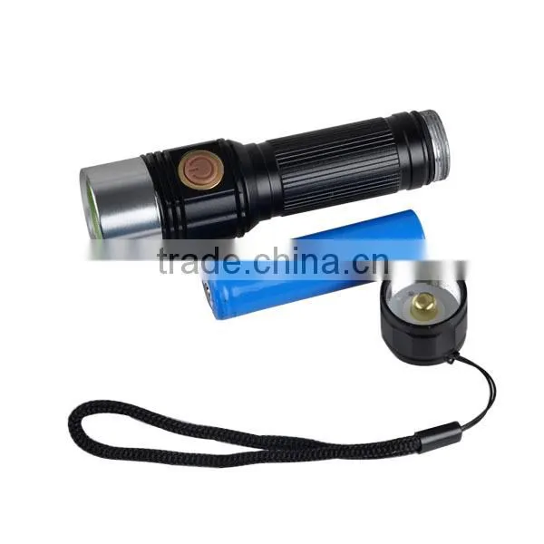 Rechargeable Ultraviolet Blacklight Flashlight High Power LED Inspection Lights