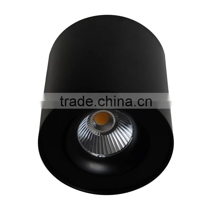 modern white adjustable surface mounted ceiling light