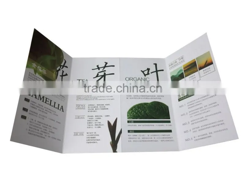 OEM Guangzhou factory high quality offset printing booklet printing