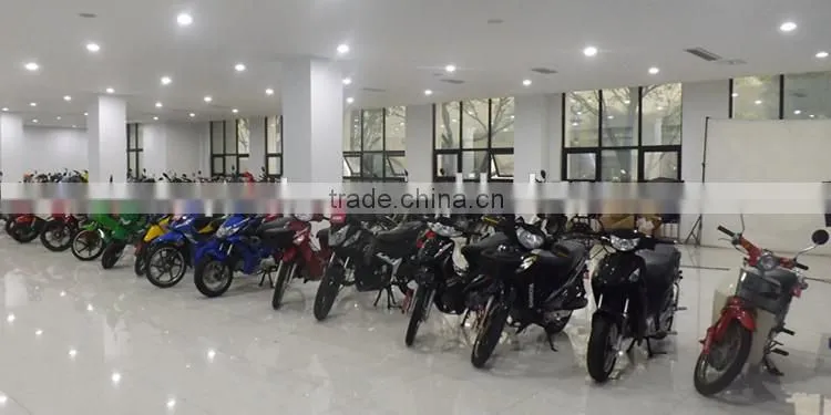 CRF250 4-stroke 200cc 250cc Dirt Bike