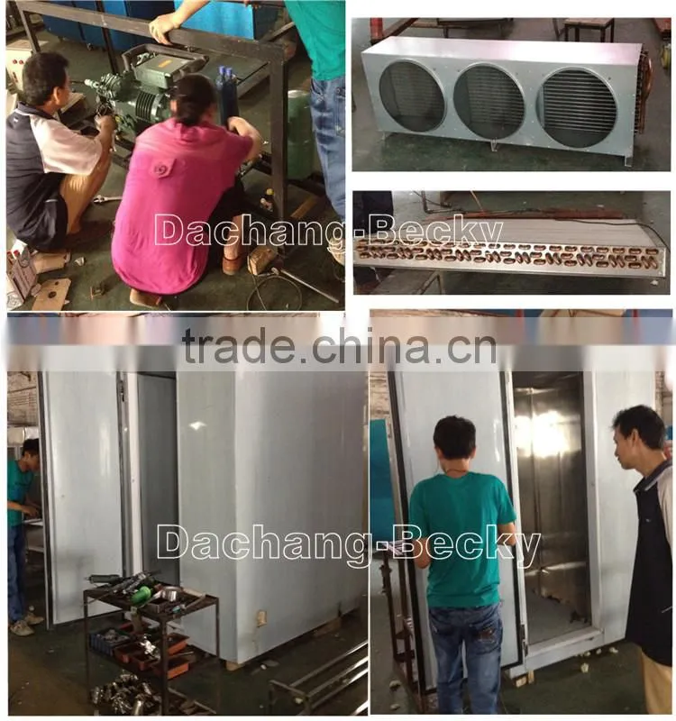 Stainless steel 304 air cooled quick blast freezer with single trolley