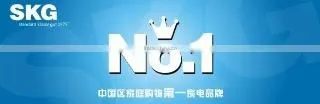 Guangdong Skg Intelligent Technology Co., Ltd. company overview - view 1