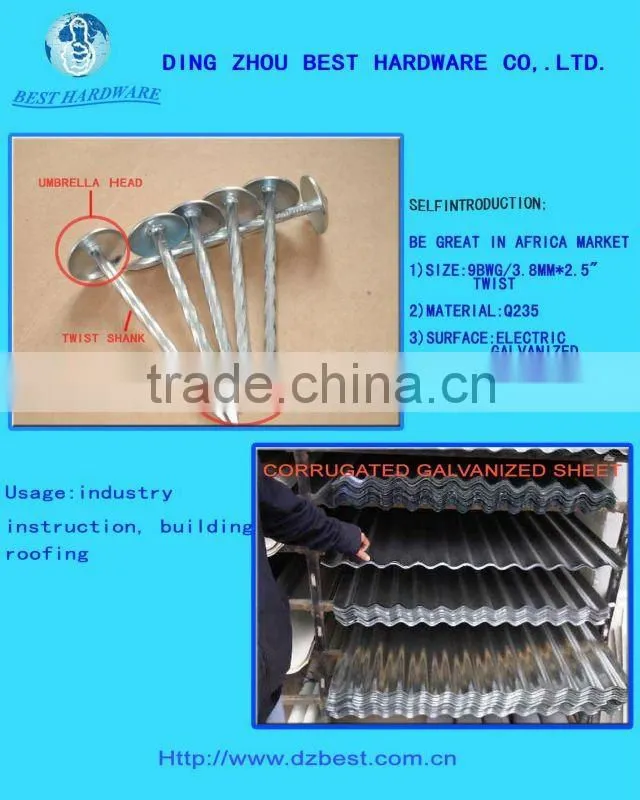 galvanized roofing nail with umbrella head from DINGZHOU BEST HARDWARE CO.,LTD