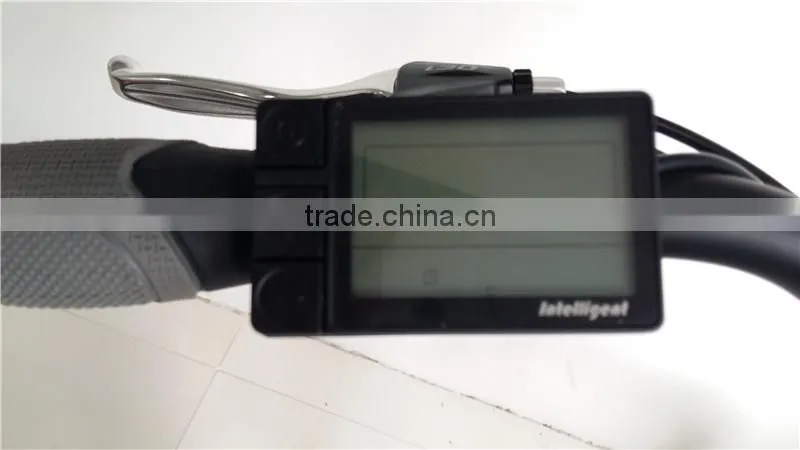 350W Electric Bicycle, Electricc Mountain Bike Supplier