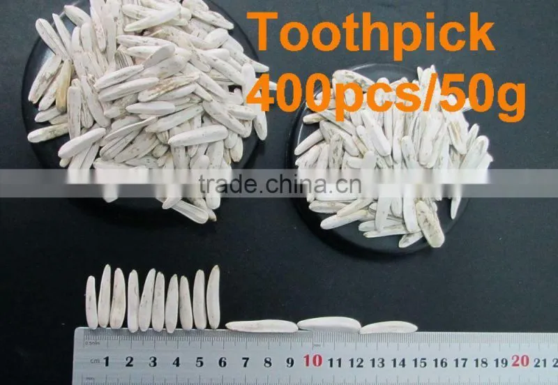 100% new white sunflower seeds buyers sunflower
