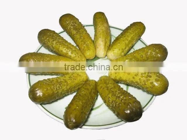 Best quality Vietnam fresh pickled cucumbers in jar - Ask for quotation! info@hagimex.com
