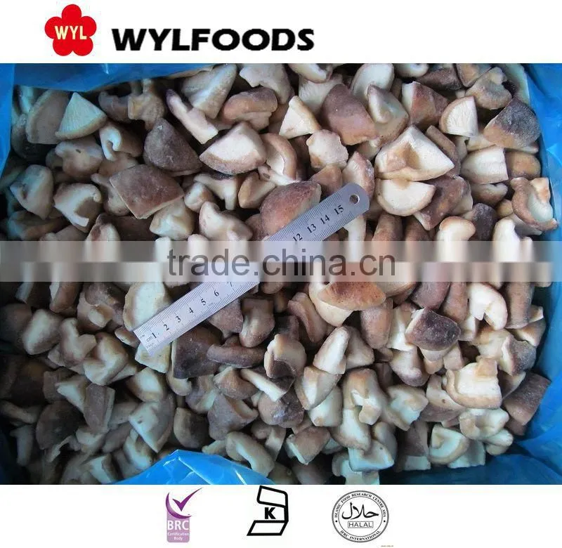 machines for Frozen IQF shiitake mushroom China brands