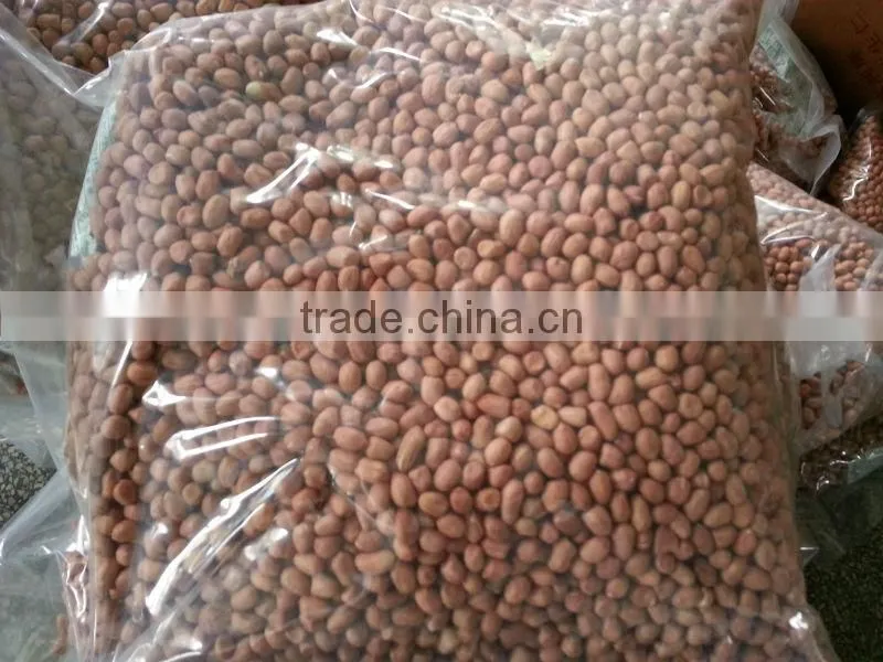 Chinese round shape raw ground nut kernels