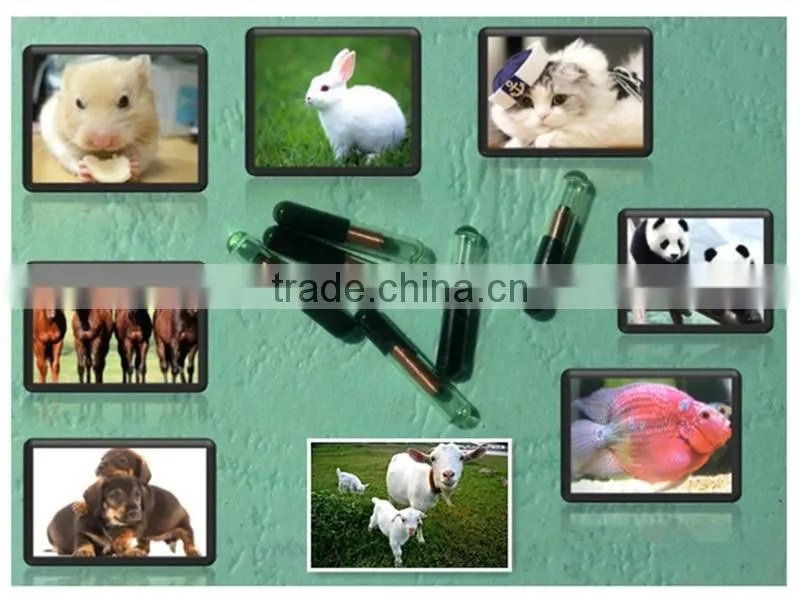 FDX-B/FDX-A animal tracking indentification glass rfid tag