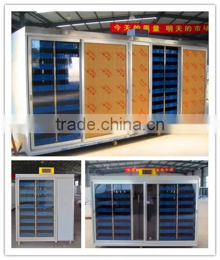 13. HRSD-100 M Automatic bean sprout machine / Bean/ barley sprout making machine 0086 15138918451