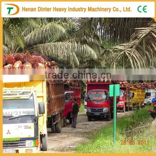 10TPH palm fruit process machine
