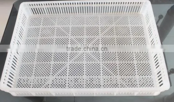 200 chicken eggs hatchery basket of incubator