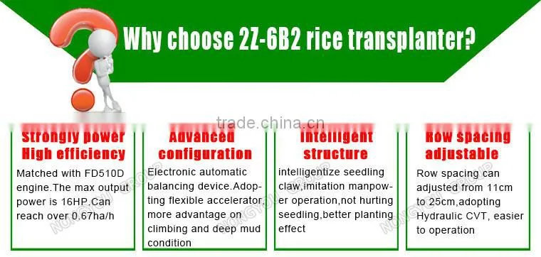 Nursery Plants Customizable Riding Type Agriculture Paddy Planting Rice Planter Machine 2Z-6B2