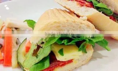 Electric contact grill / panini grill with CE certificate