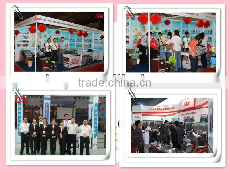 JGL120 Samosa Machine dumpling machine