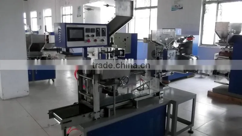 Automatic Multiple Drinking Straw Packaging Machine Model CY039