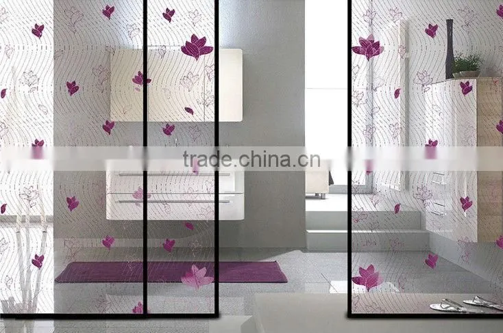 3-19mm Glass Decorative Bathroom Doors with AS/NZS2208:1996