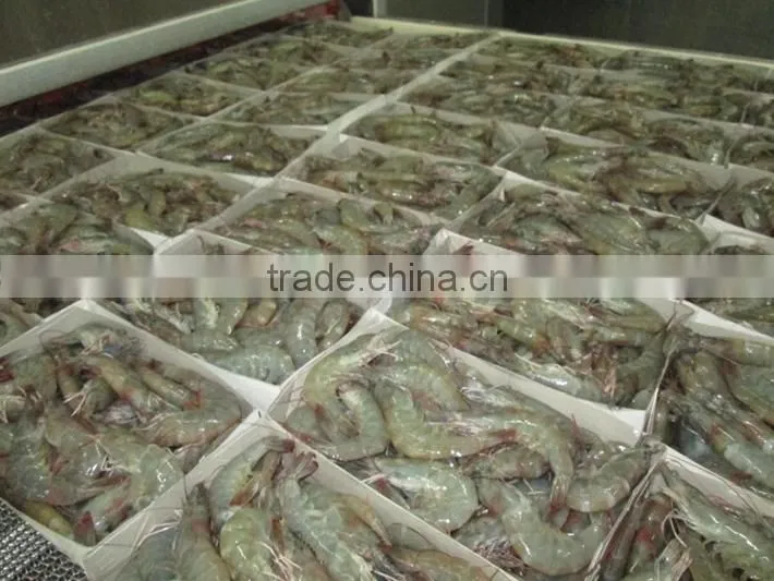 Most Demanded Flavored Vannamei HLSO Shrimps for Sale