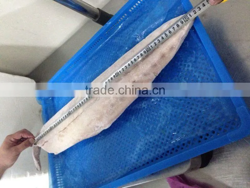 fast delivery sea frozen mahi mahi fillet with whole round