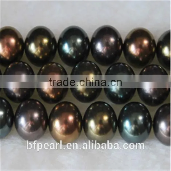 16" Pearls Beads in Oyster Shell