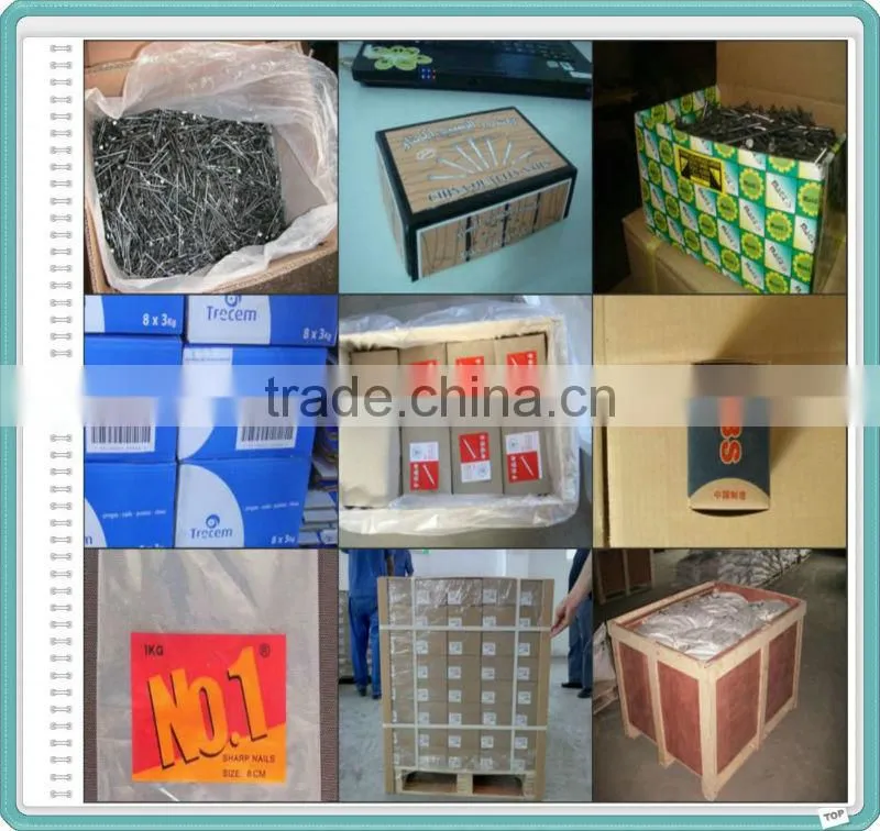 Cheap Price Hot Dipped Galvanized Boat Nails Square Shank Boat Nails