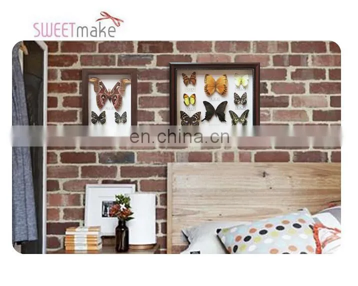 Dried real frame real butterfly