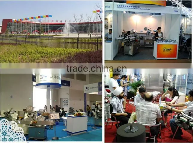 Automatic a little medicine vial filling machine