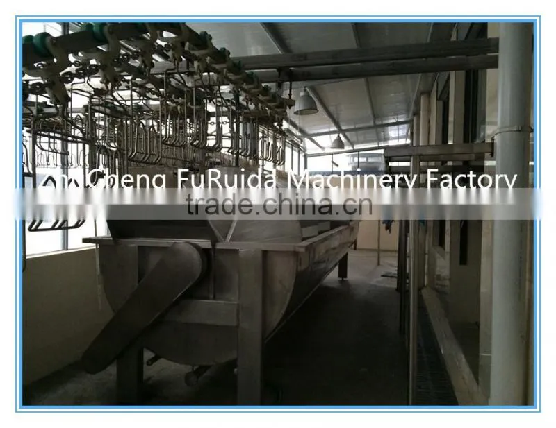 Screw Blanching Machine