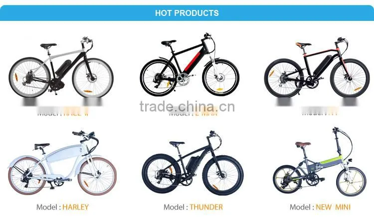 most eco electric bike