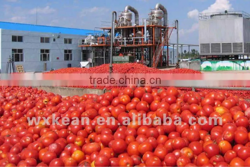 High quality whole set tomato paste making equipments include washing,crushing,sterilizing,filling machine