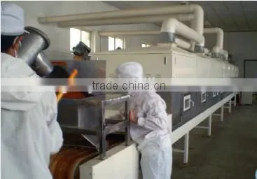 Tunnel continuous working microwave drying equipment for fruit