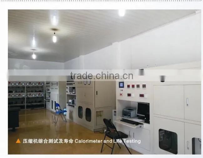 Low noise Refrigerator Compressor R134a